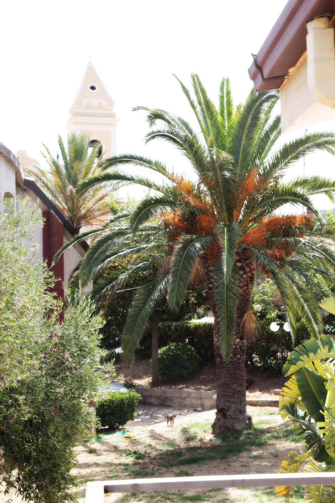 Bed And Breakfast Casagalez Santa Domenica Talao Exterior foto