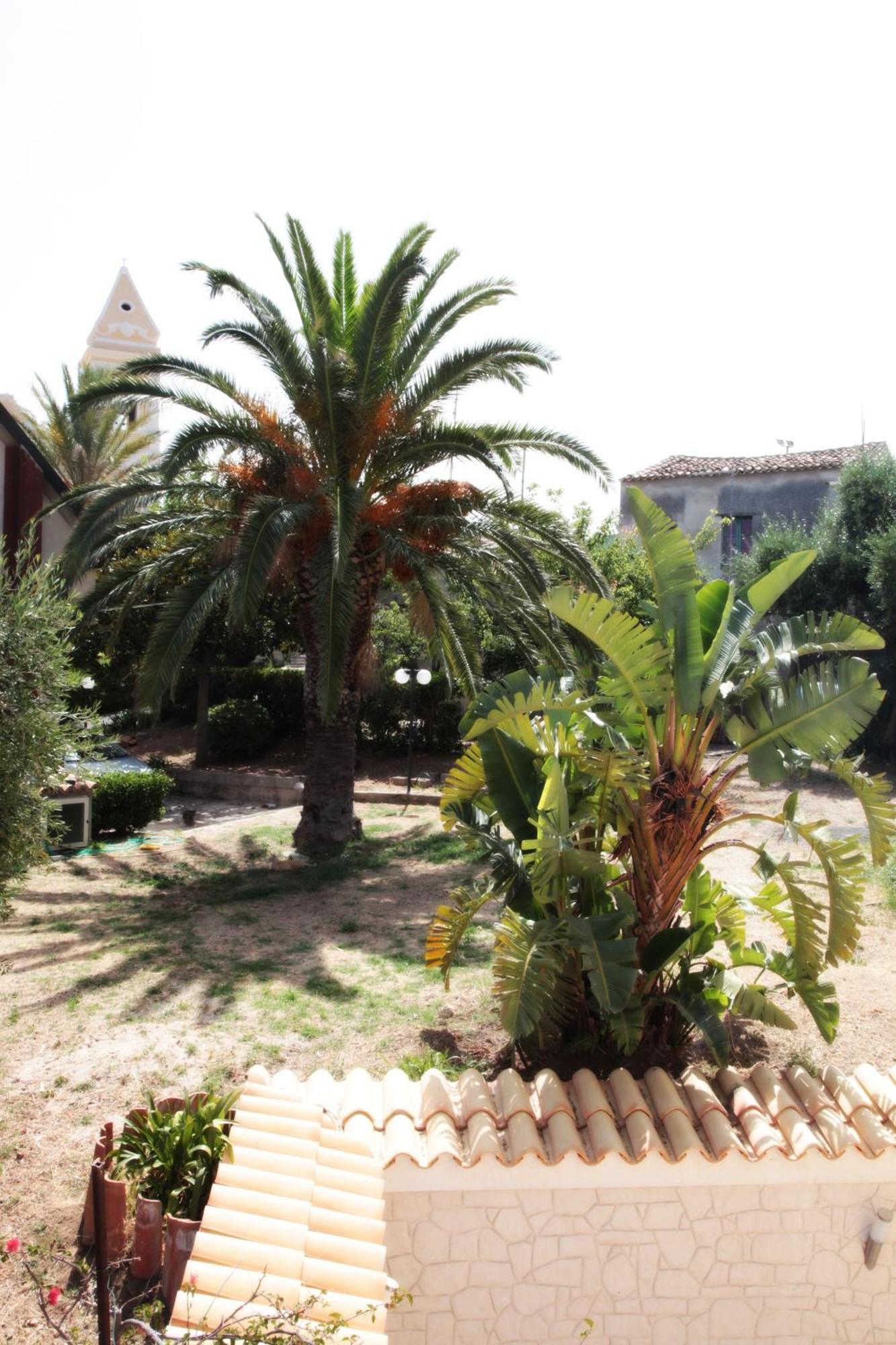 Bed And Breakfast Casagalez Santa Domenica Talao Exterior foto